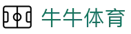 牛牛体育 - 气势如牛锁定你的进球时刻